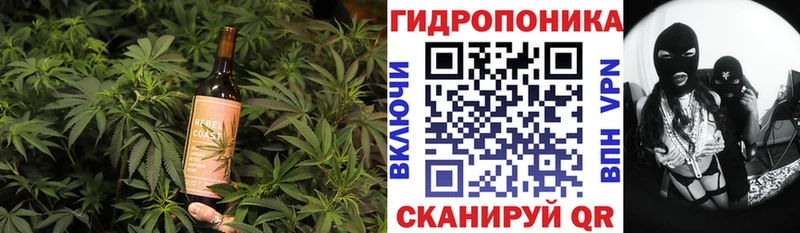 Печенье с ТГК конопля  Купить где  Андреаполь 