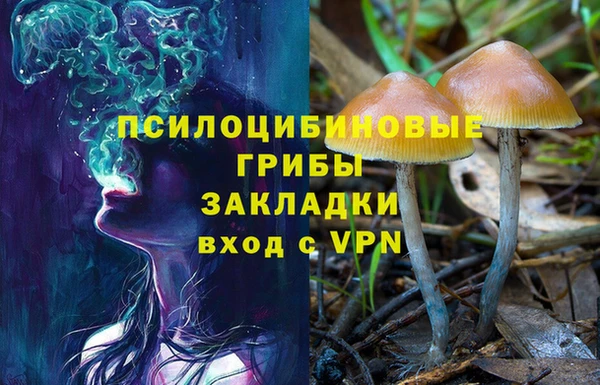 винт Михайловка