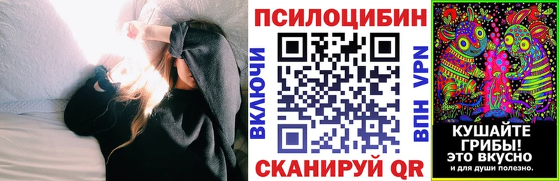 Галлюциногенные грибы Cubensis  Купить где  Андреаполь 